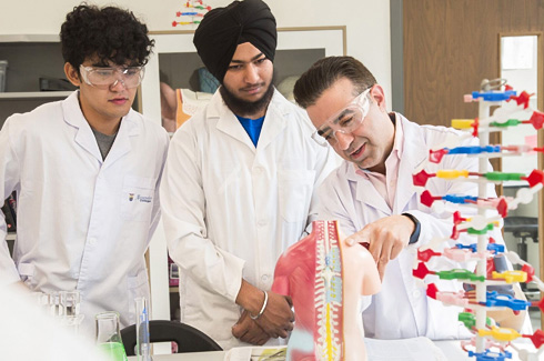 Students in a biology lab