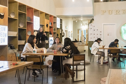 Alexander College students at a cafe
