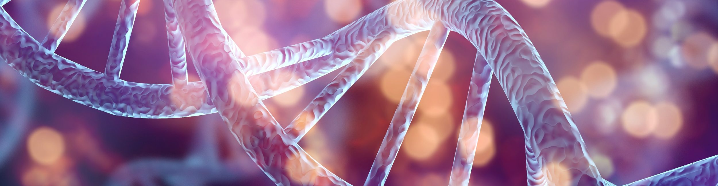 A model of DNA