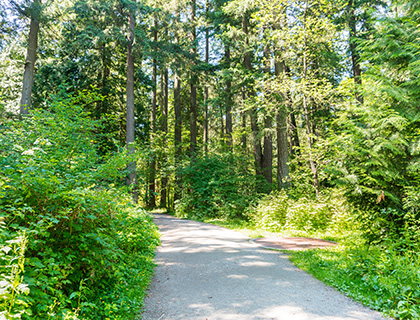 Central Park Burnaby