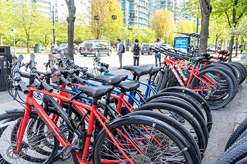 a row of bikes for rental