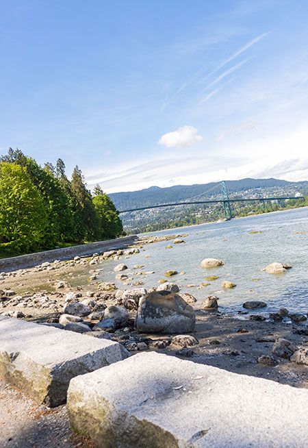 Seawall overlooking the ocean