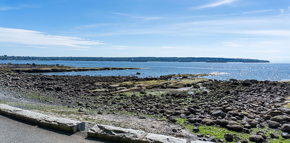 the view at Stanley Park