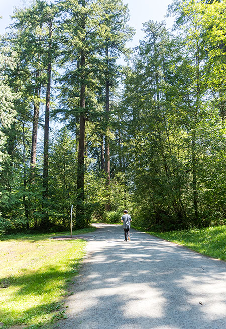 person walking through Central Park