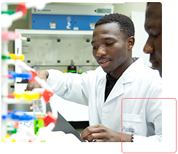 students studying the molecular structure in the lab