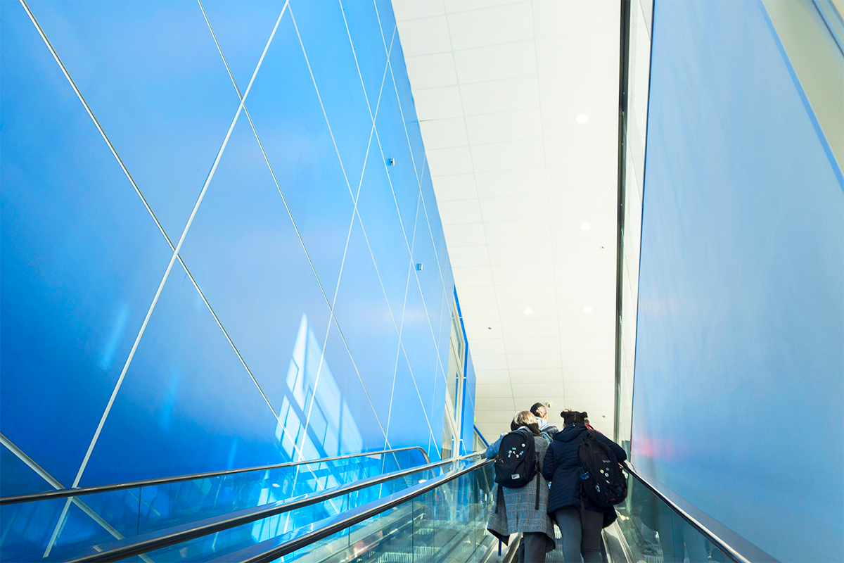 Alexander College escalator