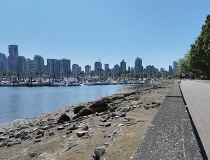 view of the city from the Seawall